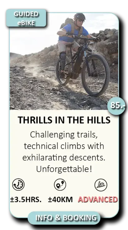 guided ebike tours fuerteventura